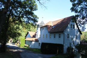 Гостиница Hotel Waldhaus  Römhild